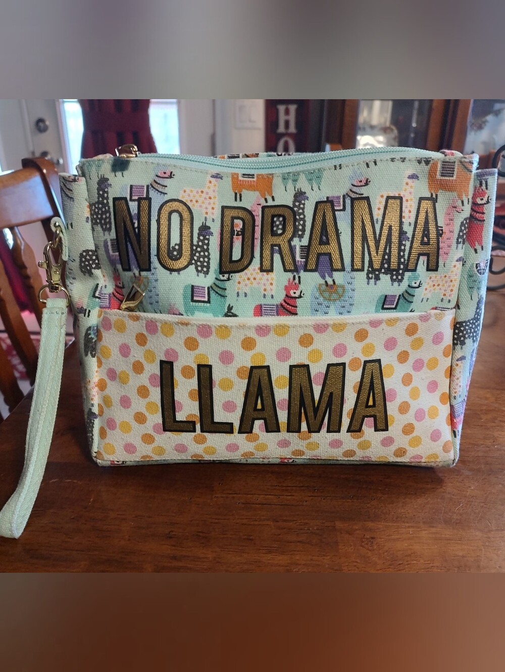 No Drama Llama Wristlet Clutch in Mint and Pink